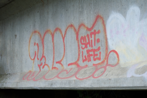Graffiti under  Ashhurst bridge