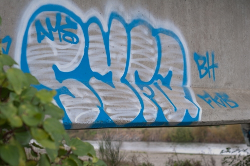 Ashhurst Bridge Graffiti